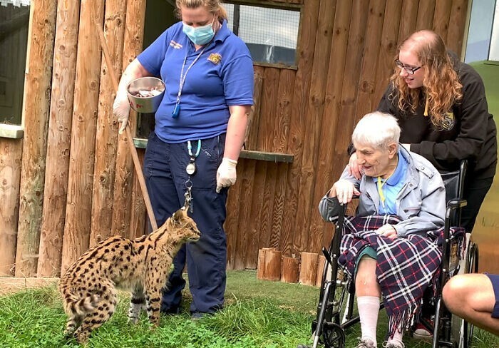 100-летняя женщина всю жизнь мечтала встретить сервала, и ее мечта сбылась