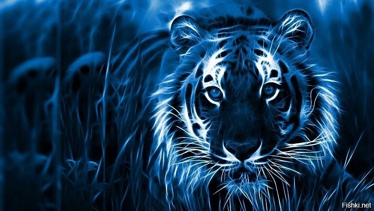 Поздравляю всех форумчан с китайским Новым годом голубого водяного тигра