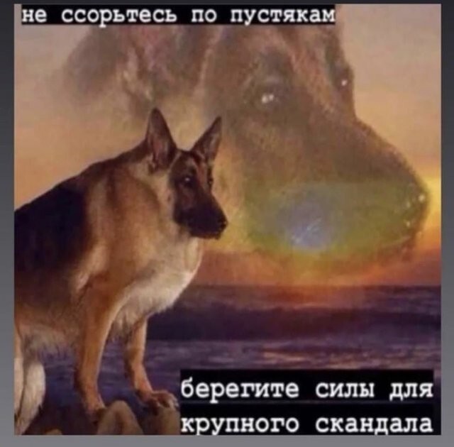 Скрины из соцсетей