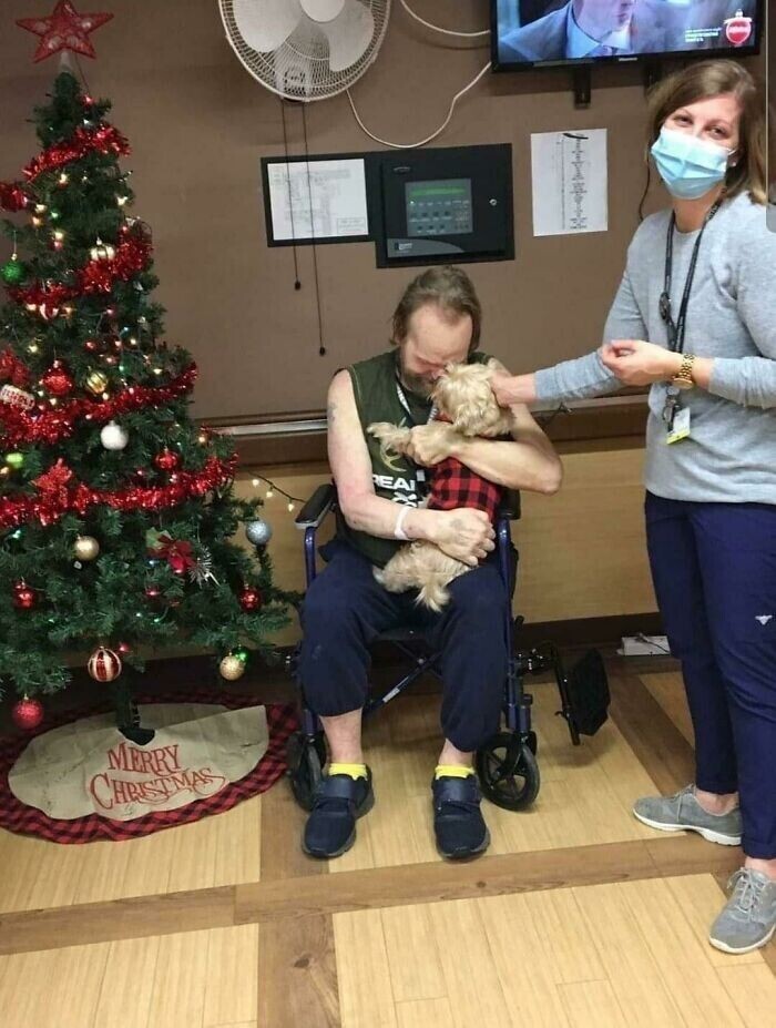 Мужчина был вынужден отдать свою собаку в службу помощи из-за долгой госпитализации. Узнав об этом, один из волонтеров тут же согласился взять пса на передержку, пока мужчину не выпишут. Какое трогательное фото!