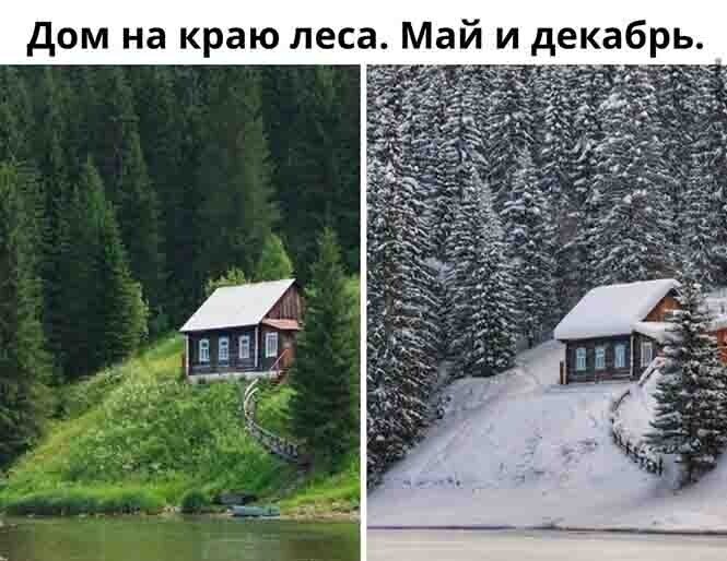Смешные и познавательные картинки