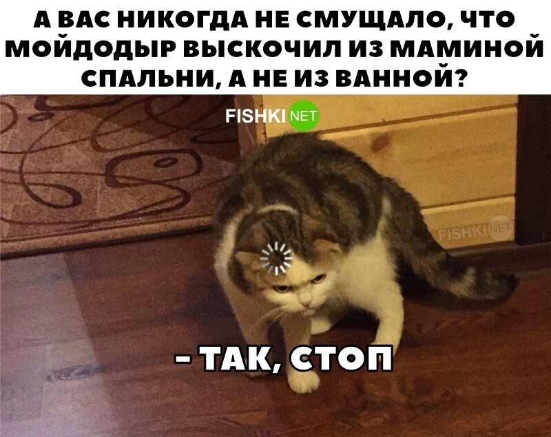 Скрины из соцсетей