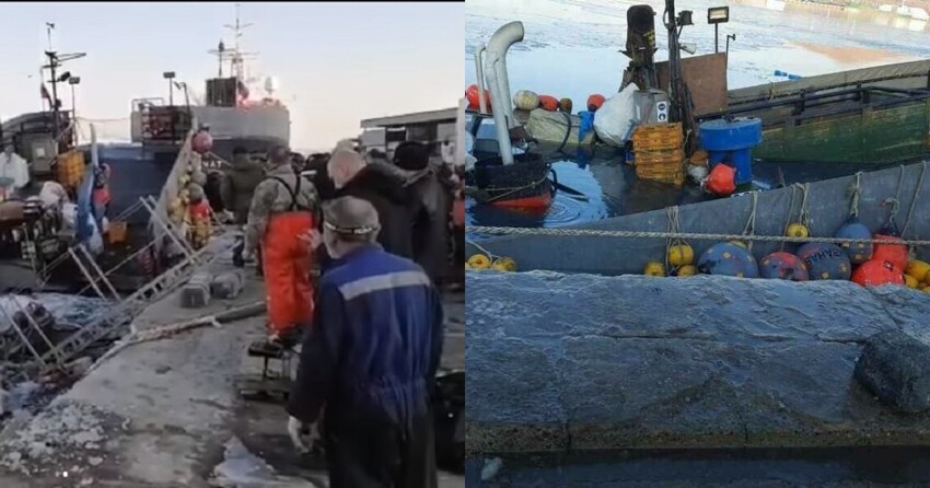 "Дед, уходи!": неудачная попытка спасения старшего механика с затонувшего судна в Приморье