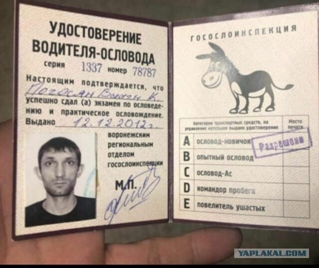 Будущий водитель ЯндексТакси, сдаёт экзамен в Санкт-Петербурге