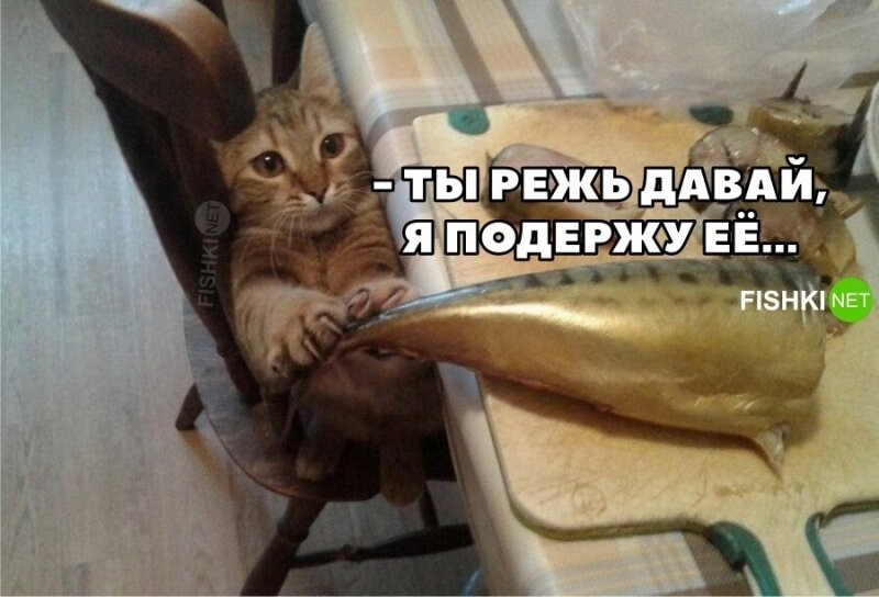 Или украду