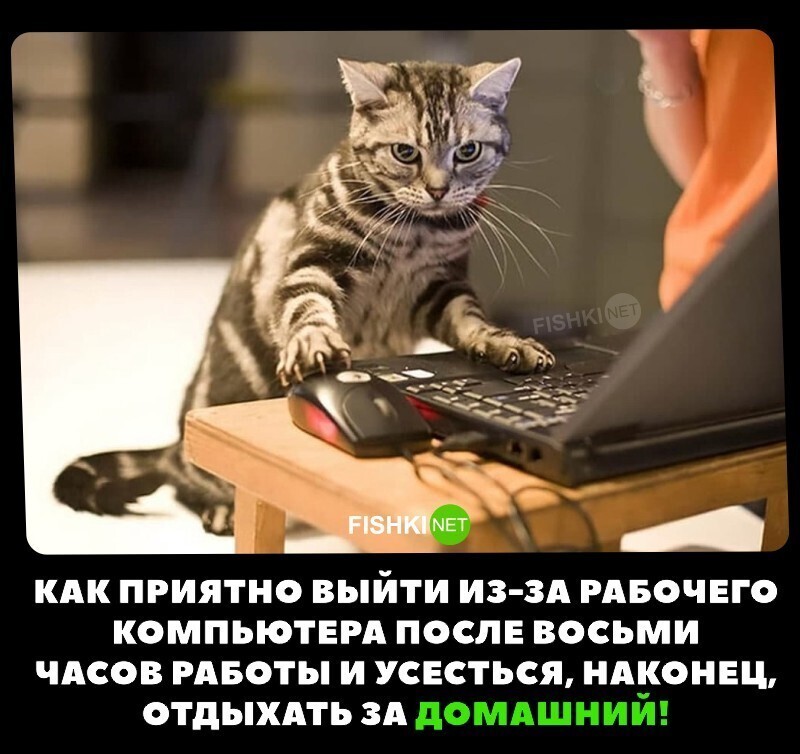 Классика!