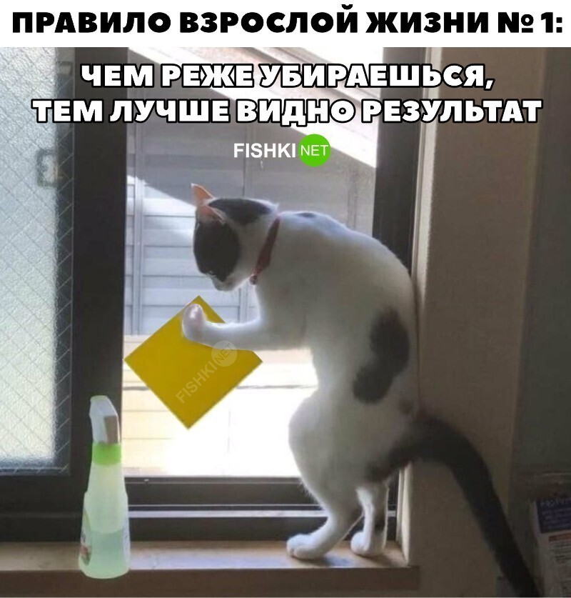 Справедливо