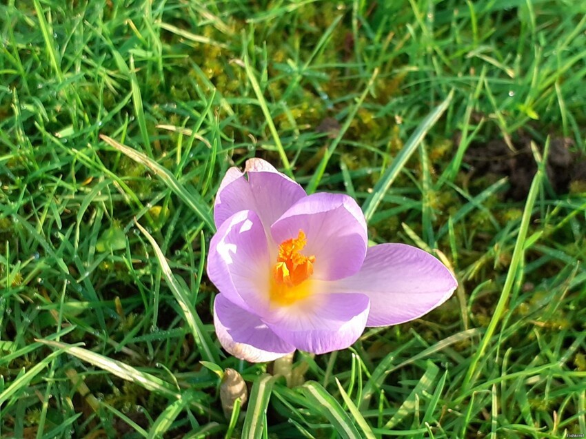 Весна пришла