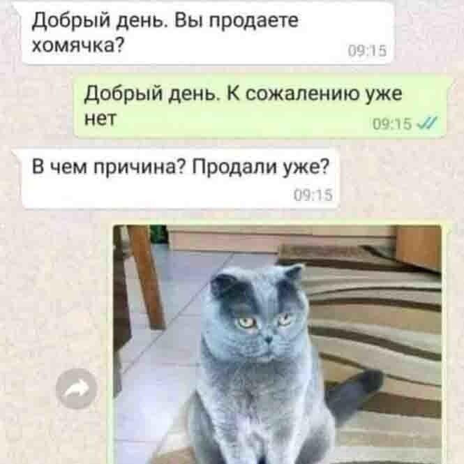 Смешные и познавательные картинки