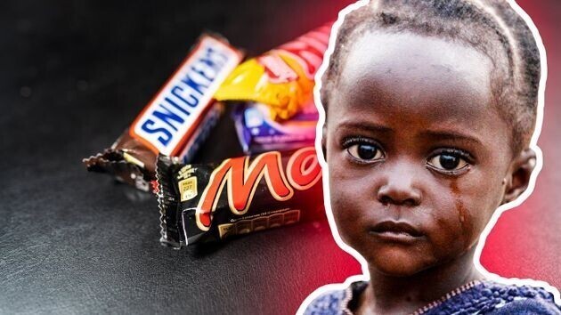 Темная сторона шоколада: как работает один из самых жестоких и расчетливых бизнесов в мире