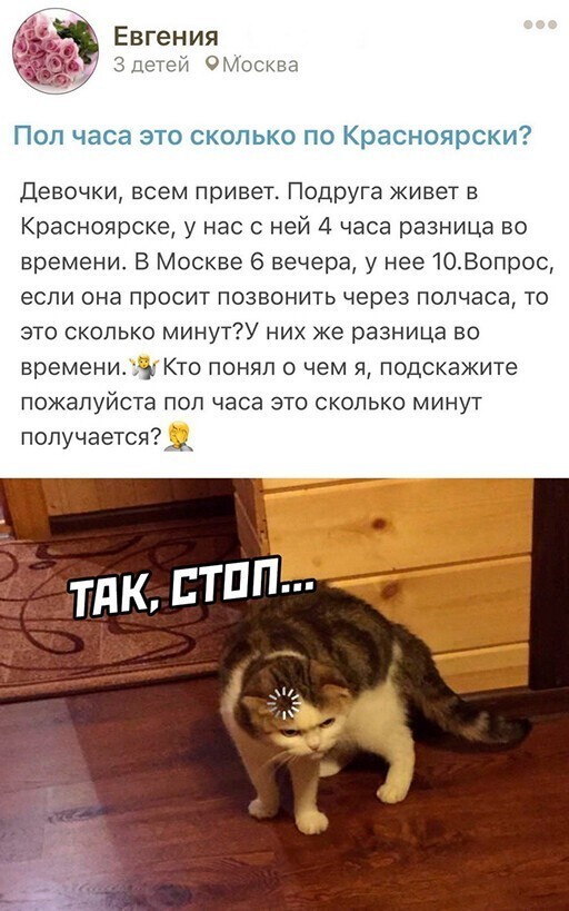 Смешные и познавательные картинки