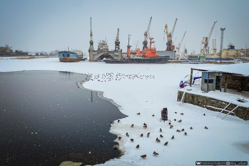 «Корабль-призрак», который много лет стоит  в порту Петербурга