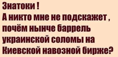 О политике и не только