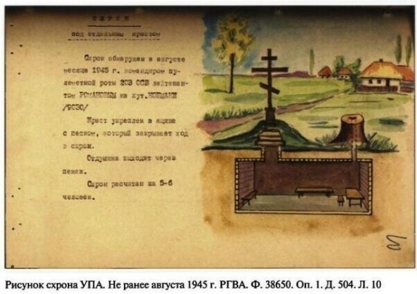 О политике и не только