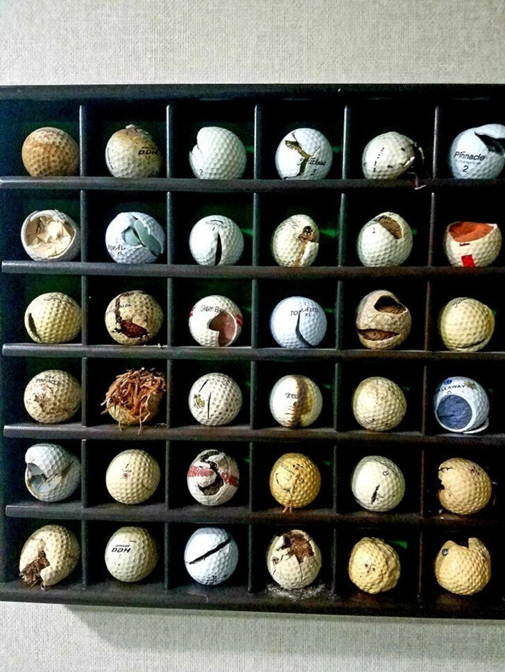 3. "Коллекция "уродливых" мячей для гольфа, которую собрал мой 87-летний отец"
