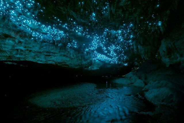 2. Пещера в Новой Зеландии, освещенная светлячками