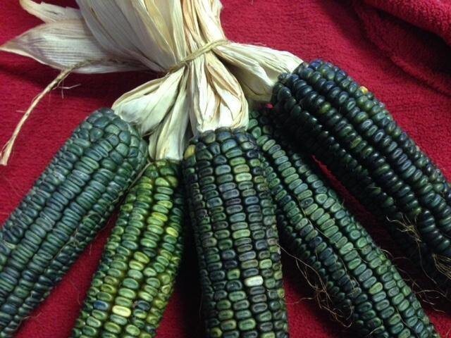 Зеленая - Oaxacan Green Corn