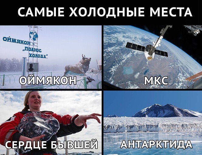 Смешные и познавательные картинки