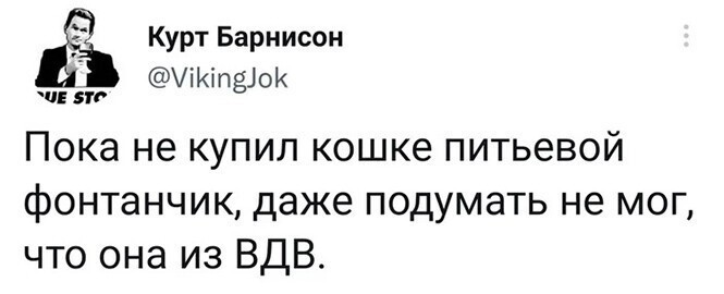 Смешные и познавательные картинки