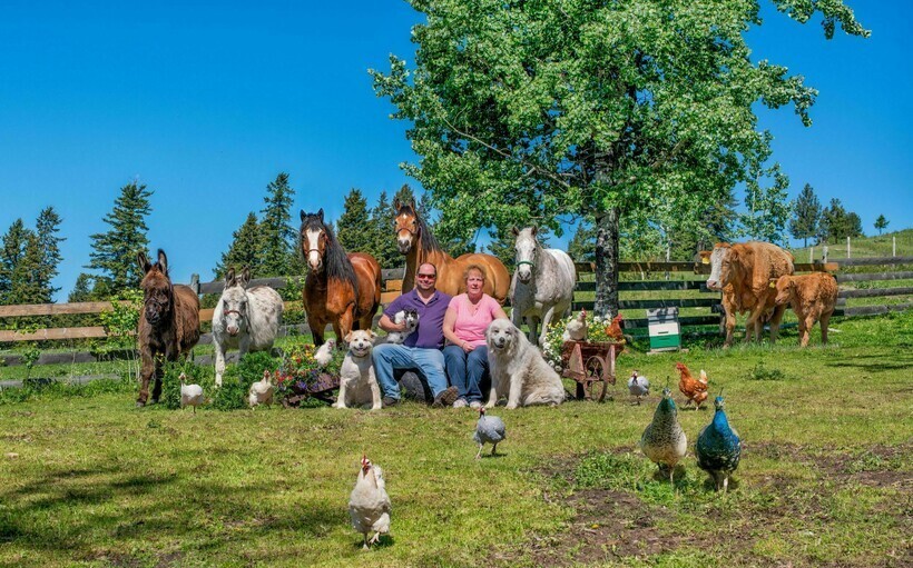 18 душевных семейных фото с разных ферм, на которых запечатлено очень много питомцев