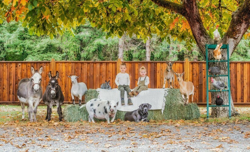 18 душевных семейных фото с разных ферм, на которых запечатлено очень много питомцев