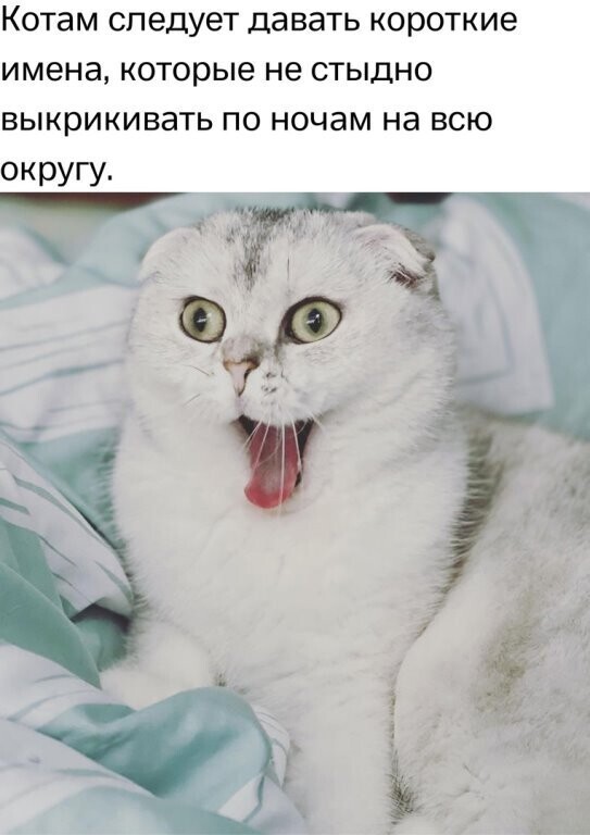 Пятничное настроение