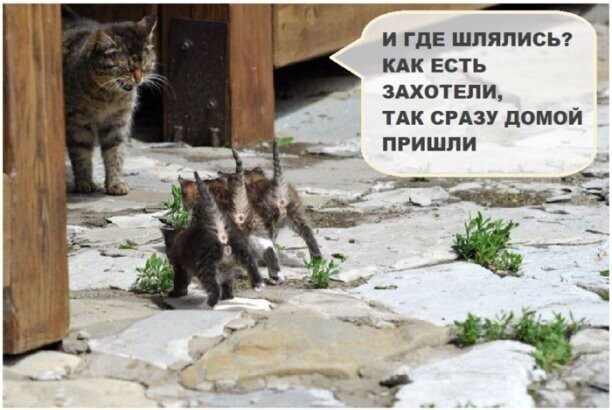 Пятничное настроение