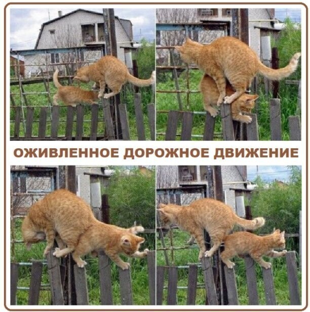 Пятничное настроение