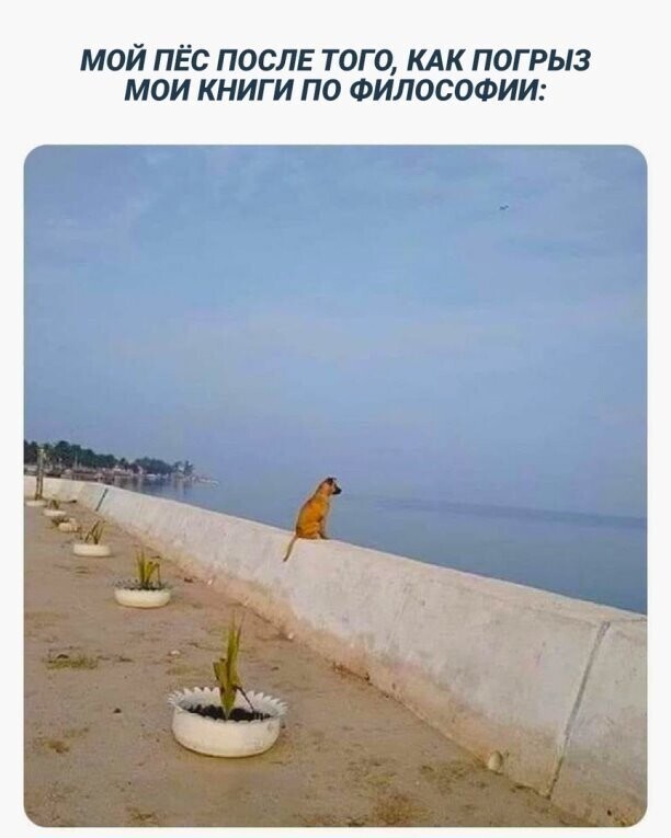 Пятничное настроение