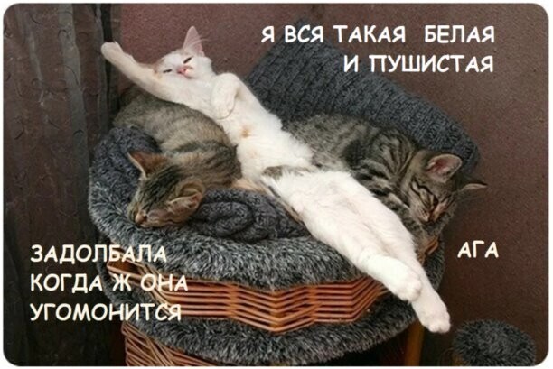 Пятничное настроение