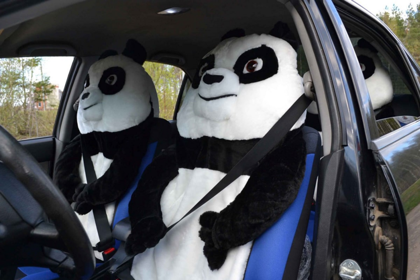 Ржавь и панды: забавные и полезные украшения для авто