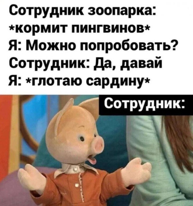 Смешные и познавательные картинки