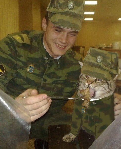 Вторжение пока откладывается, так что можно немножко перекусить.