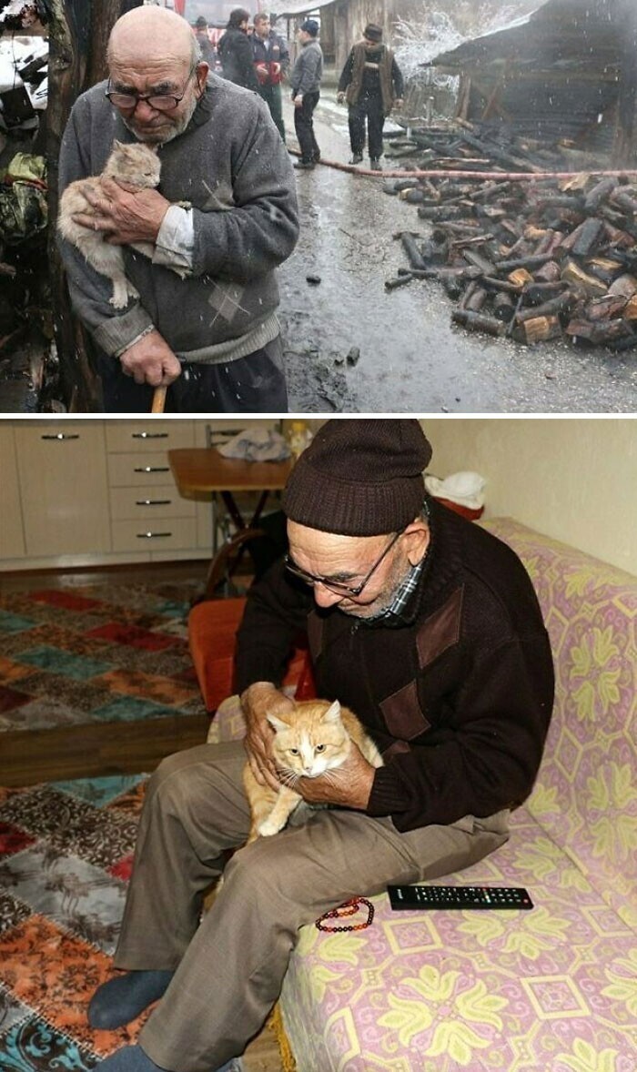 2. Помните старика турка, который всё потерял в пожаре, но спас своего котёнка? Люди купили новый дом для него и его трёх кошек. Сейчас у них всё хорошо