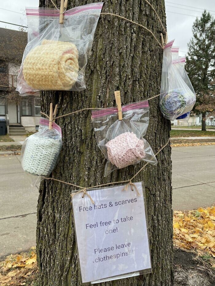 25. "Кто-то в моем районе связал несколько шапок и шарфов и оставил их на дереве для желающих. Просит только не забирать прищепки"