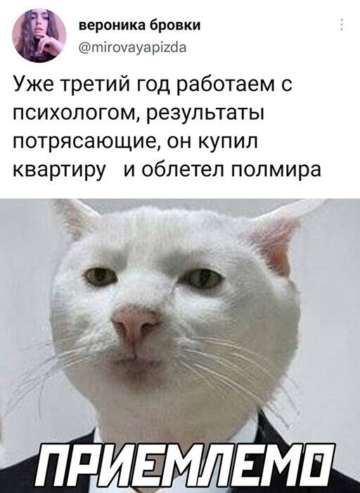 Смешные и познавательные картинки