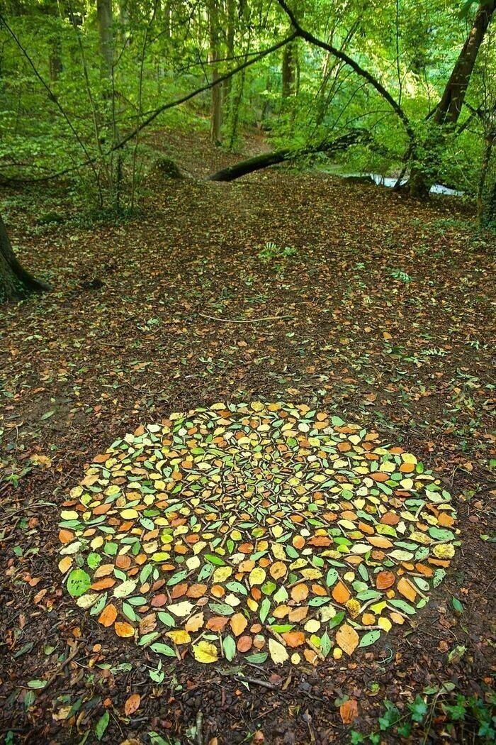 2. Мозаика, выложенная из осенних листьев