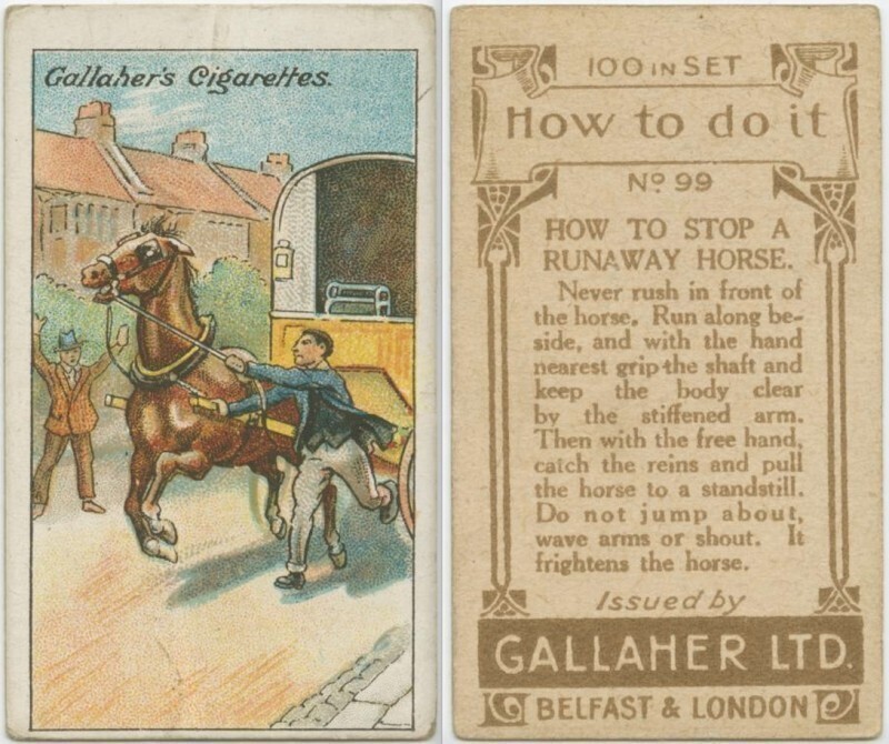 Как остановить лошадь на бегу