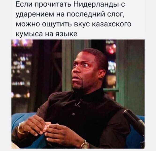 Смешные и познавательные картинки