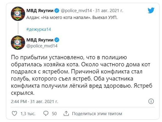 Смешные и познавательные картинки