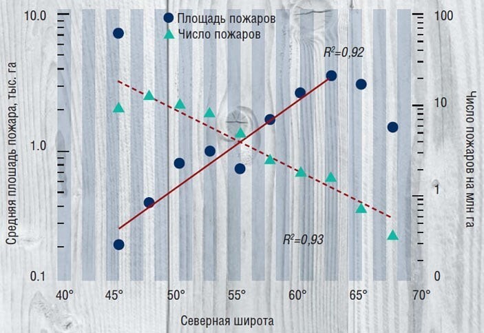 "Российские леса постоянно горят"