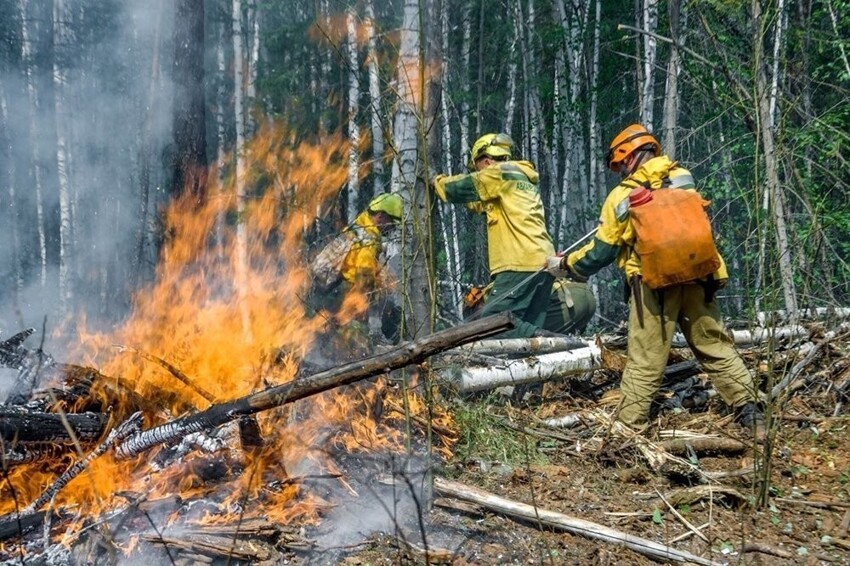 "Российские леса постоянно горят"