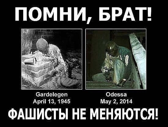 О политике и не только