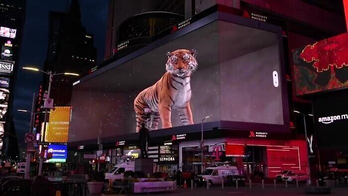 Могучий тигр быстро стал вирусным в Интернете: людям нравится необычное зрелище на улице города