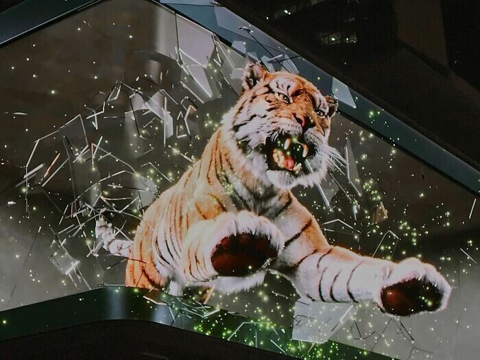 Что ж, это могучий тигр, известный своим невероятным ночным зрением и яркой окраской!