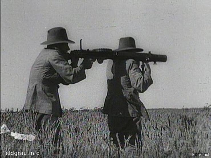 В 1932 году вооружённые силы Австралии объявили войну эму, так как на этих пт...