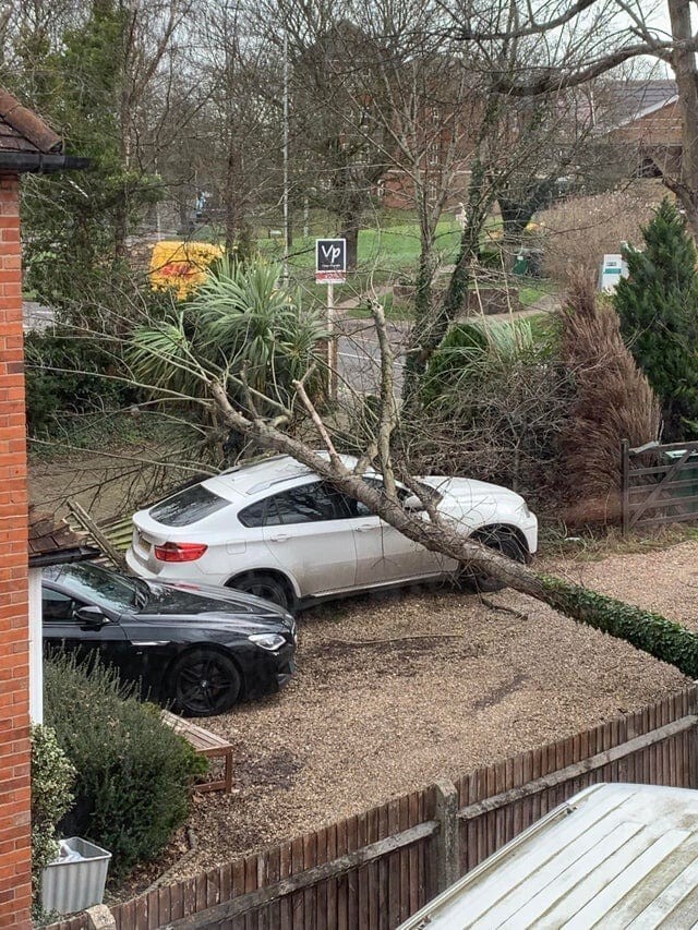 Упс. Моё дерево упало точно на авто соседа