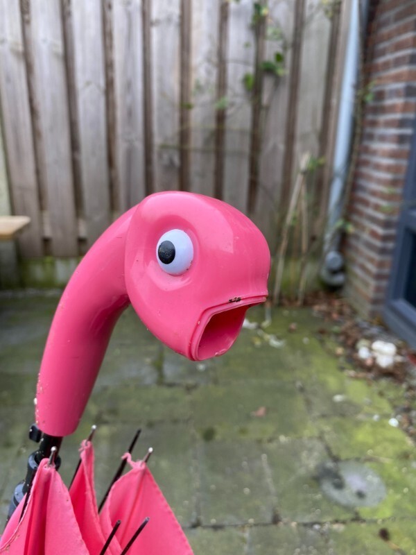 6. "У зонтика в виде фламинго отвалился клюв, и теперь он похож на удивленную рыбу"