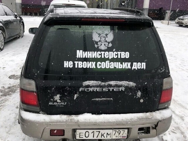 Автовсячина