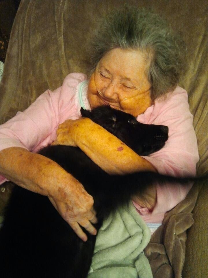 Моей бабушке 88 лет и это её лучший друг